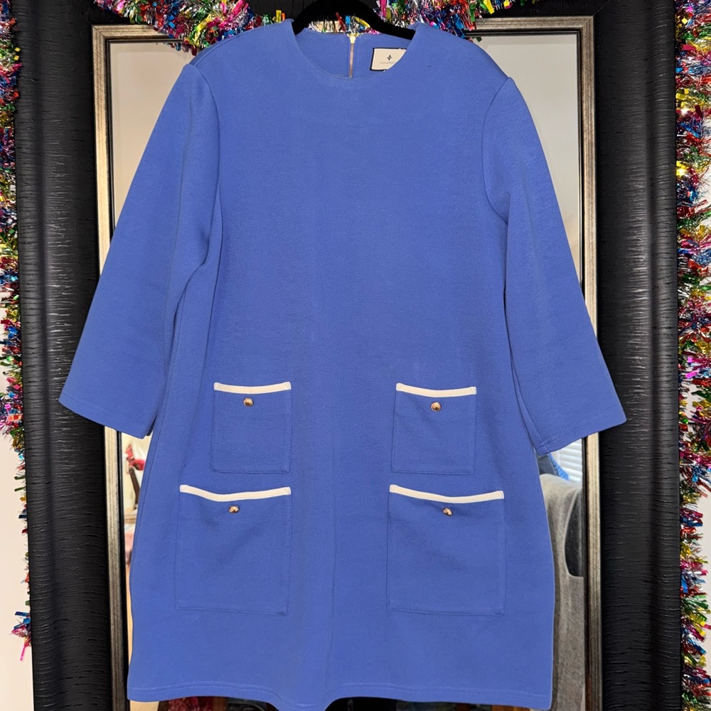 Chic Blue Dress with White Accents